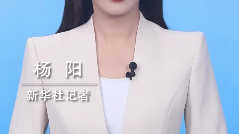 金融行业数据治理平台：揭秘其核心价值与选型要点